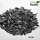 New Crop Sunflower Seeds Type 5009 Market Price In China