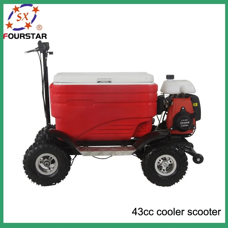 Cheap 50cc 4 Stroke Gas Powered Cooler Scooter Buy Cooler Scooter,Gas