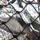 cheap plastic anti bird insect garden netting for vineyard