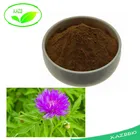 Vacuum Packed Milk Thistle Silymarin Wholesale Bulk Milk Thistle Extract 80% Silymarin/milk Thistle Seed Extract