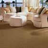 Best Selling Hand Made Livingroom Carpet Rugs 100% Polypropylene Floor Plain Color Rug