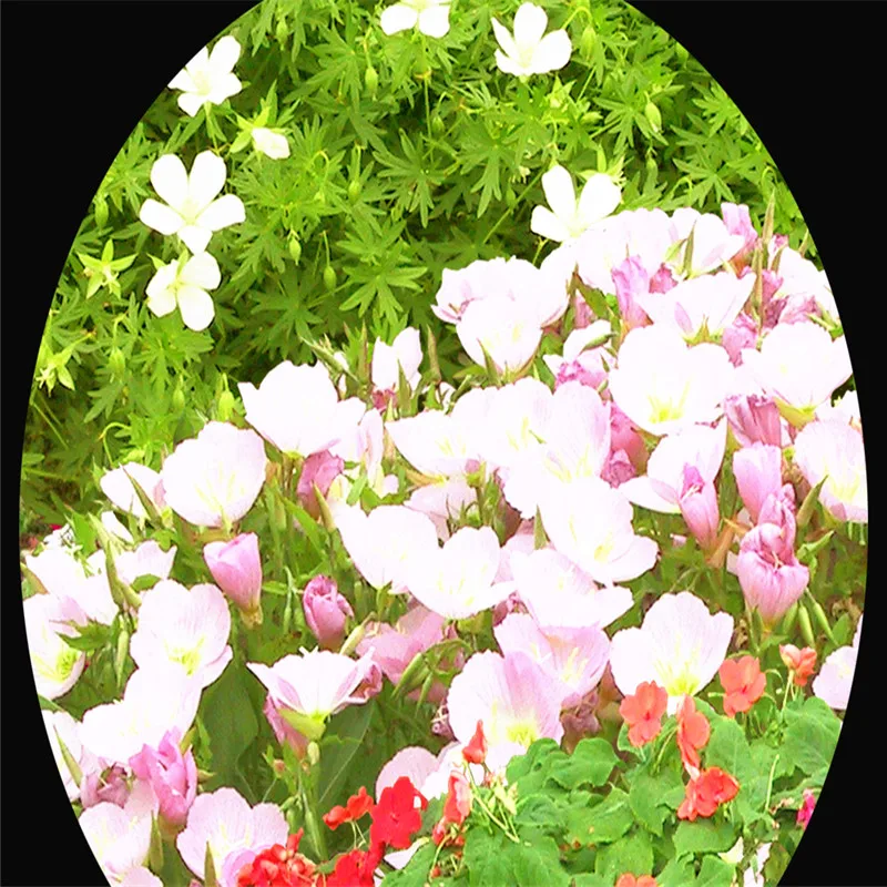 16735133-361874644f6e79158be5a5bf7f8a5ec8-3