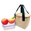 Wholesale Custom Reusable kids Insulated Cooler Bag For Food Lunch Box