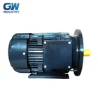 GW ELECTRIC high efficiency three-phase vehicle traction motor