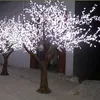 /product-detail/indoor-outdoor-decoration-led-christmas-tree-lights-60502959356.html