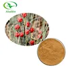 Hot Products 100% Natural Chinese Herba Ephedra Extract Powder with Best Price