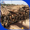 where does radiata pine come from pinus radiata growth rate density of treated pine