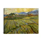 Vincent Van Gogh Enclosed field with rising sun canvas oil painting reproduction for living room decoration