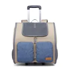 Waterproof Foldable Nylon Pet Carrier Airline Approved Dog Bag Carrier For Travel