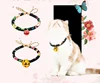 R1172H Hot sale stylish adjustable pet accessories cat collar dog collar