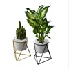 Nordic Style Desktop Ceramic Planter flower Pot with Metal Stand Garden Pot for Succulents Plants Home Decor