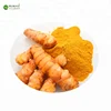 Turmeric Root Extract Curcumin 65% Curcuminoids 95%