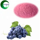 Seed Powder Seedpowder Factory Supply Natural Fruit Flavor Grape Juice Powder/grape Seed Powder Extract