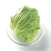/product-detail/heat-resistant-iceberg-lettuce-seeds-for-planting-62055945853.html