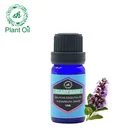 Private label Supplied Aroma Therapy Wholesale 100% Pure Nature Essence ingredients Clary Sage Oil