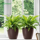 Colorful plastic ceramic round flower POTS, plant nursery, garden decoration