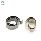 Custom Special Flat torsion spring clips