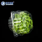 Plastic Box Packaging Box Plastic Hot Sale Recyalable Clear Plastic Lettuce Packaging Box