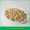 chinese coriander seeds