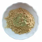 Raw material agriculture chitosan oligosaccharide/ chitosan fertilizer/ chitosan fungicide