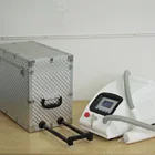 Hot !! Portable laser tattoo removal equipment