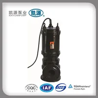 China Manufacturer Professional Water Pump WQ