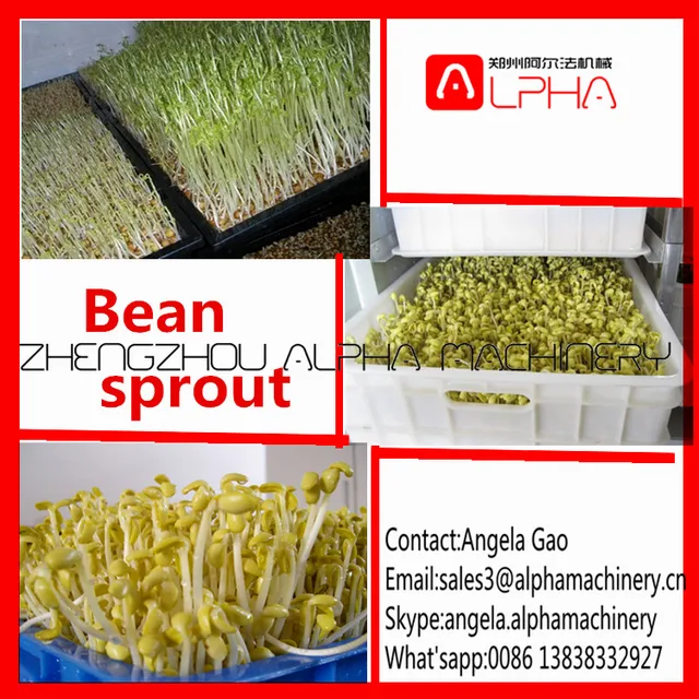 commercial mung bean sprout growing equipment/barley sprout