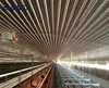 Closed house system metal construction commercial chicken house