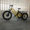 /product-detail/500w-3-wheel-electric-car-motorcycle-cargo-bike-for-sale-60733048992.html