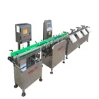 Conveyor Belt Scale Production Line Weight Checking Machine S9011