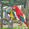 /product-detail/animatronic-parrot-life-size-bird-model-2011825623.html