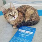 Health log book diary pet cat's information journal passport