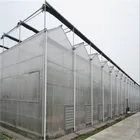 Low price Polycarbonate greenhouse tomato seeds greenhouses