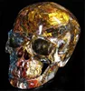 Unique natural carved crystal giveaways pietersite skulls