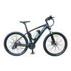 made in china carbon fibre frame electric mountain bike