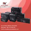 6V 5AH Maintenance Free Sealed AGM Battery for Home UPS CCTV System