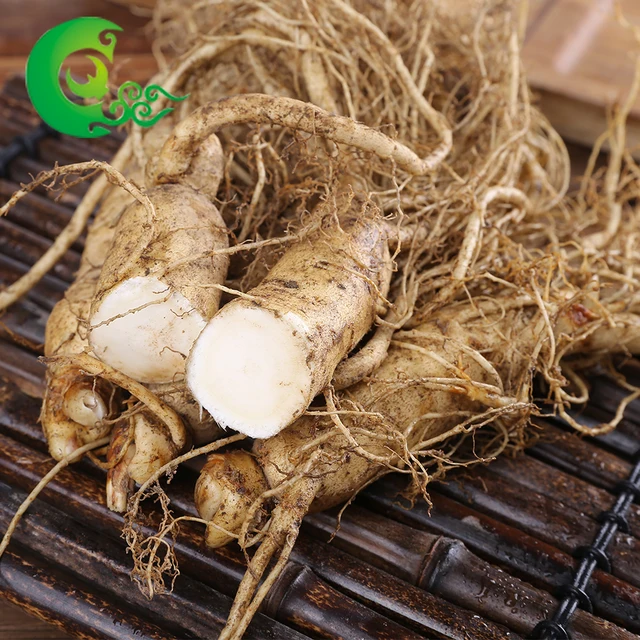 ginseng plant for sale