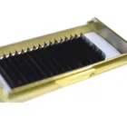Top One Factory Supplied Eyelash Extension Mink Lashes