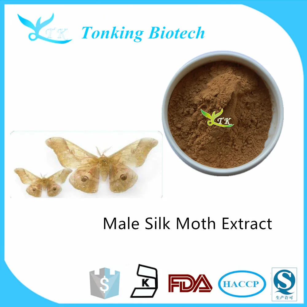 best price male silk moth powder