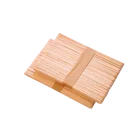 white birch wood ice cream stick in bundle