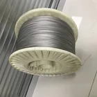Titanium Wire Wires Ta0/ta1/ta2/gr1/gr2 Gr1 Gr2 Gr5 Titanium Welding Wire Pice Pure Titanium Wires For Kg