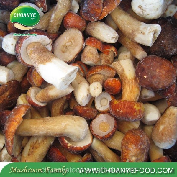 2018 On Sale IQF Frozen Mushrooms Funghi Porcini