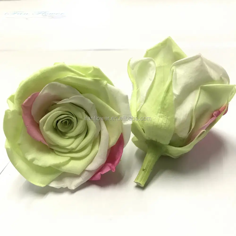 japan rose for anniversary gift colorful natural flowers rose