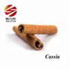 Direct Supplier Single Spices & Herbs Cassia Bark/Cinnamon