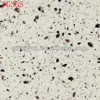 Mountain Frost WG365 QUARTZ STONE WHITE