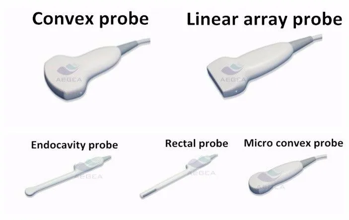 portable ultrasound price