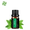 Hot Selling 100% pure Peppermint oil Improve skin inflammation refreshing active thinking