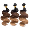 Factory price cheap brazilian hair bundles with lace closure, most popular ombre color human hair weft