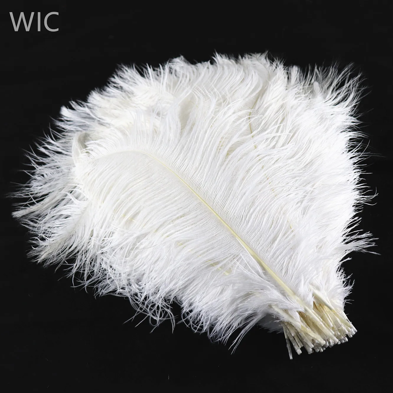 ostrich plumes bulk