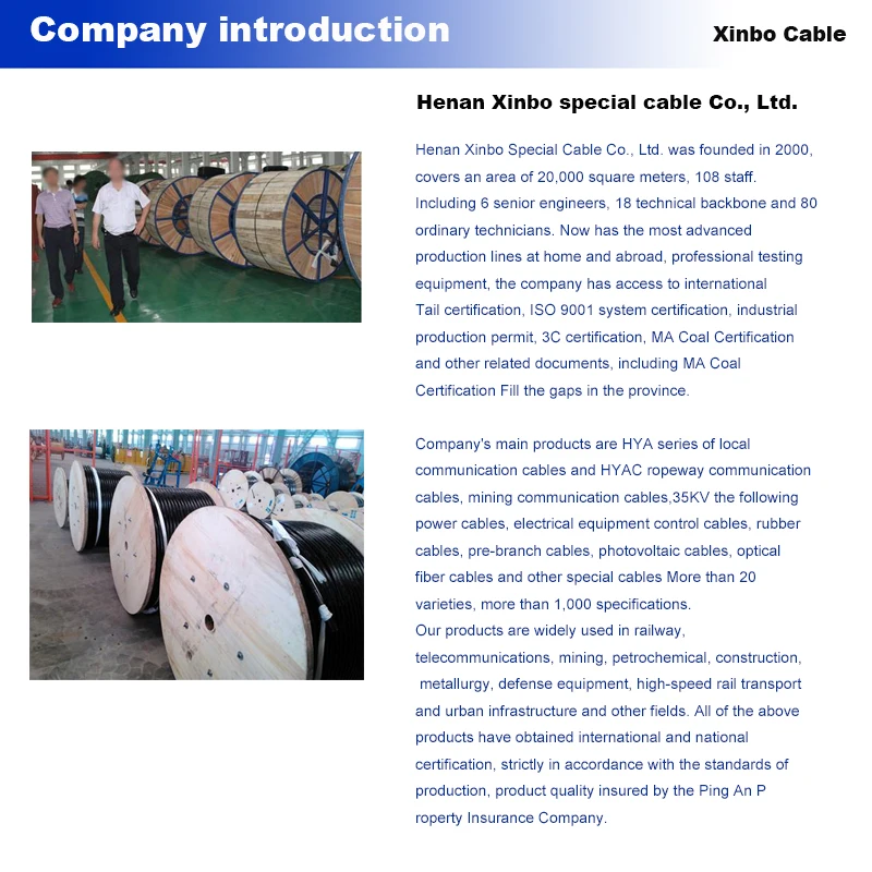 company introduction.jpg